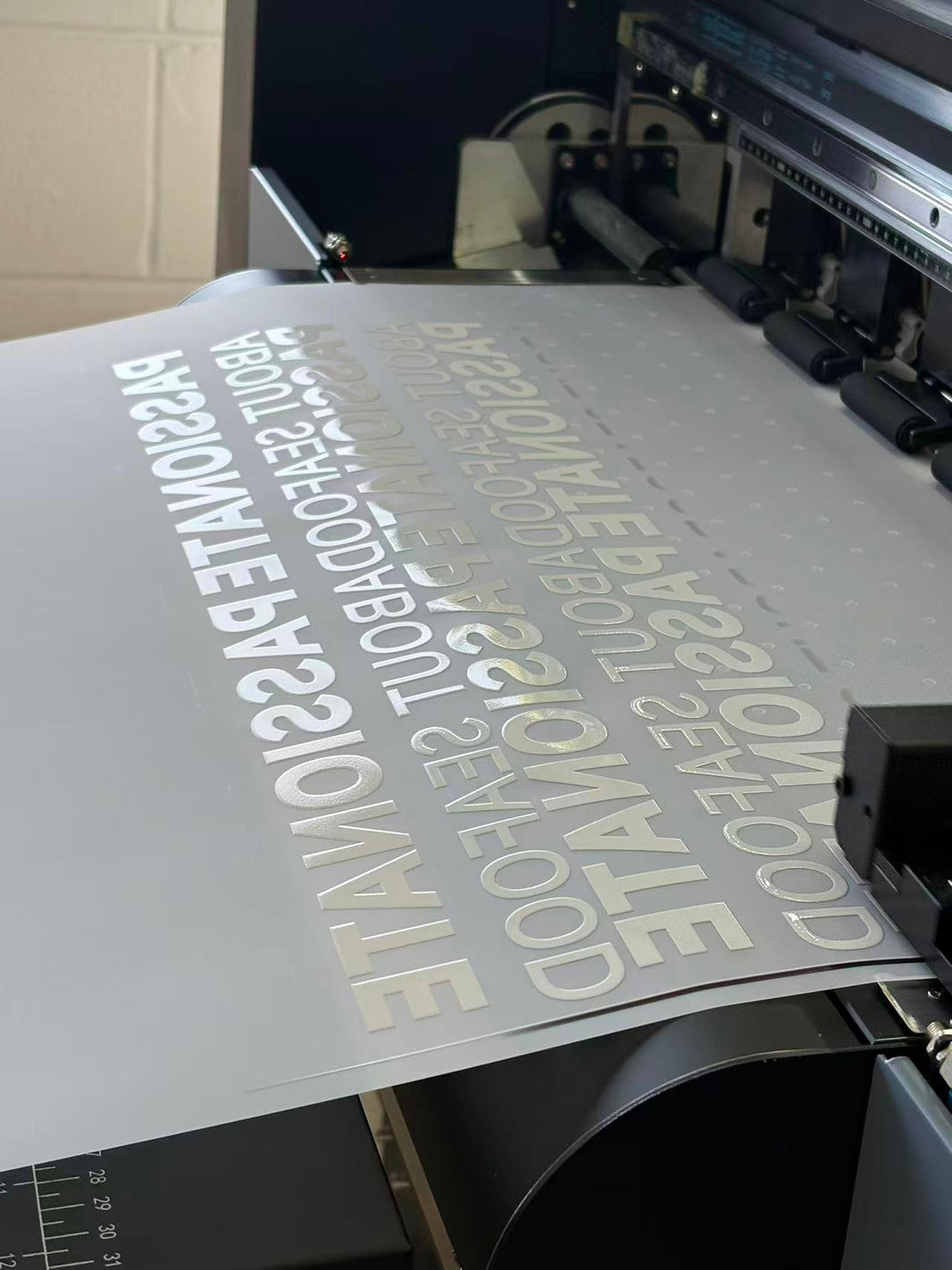 Custom DTF Transfers Auckland – Ready to Press